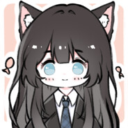 无名的猫
