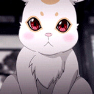 Rabid Rabbit [RU]