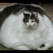 ABSOLUTE UNIT