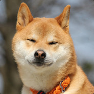 Hachi-ko