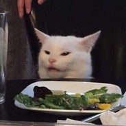 Котяра