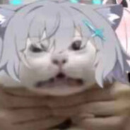 「coolmangavin2」
