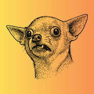 Barkbyte Interactive