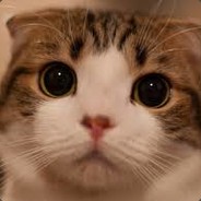 Pyrodox