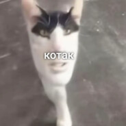 ꜱᴀᴛɪᴠᴀ