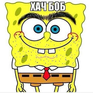 хач боб