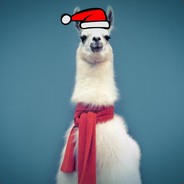 Ninja Lama