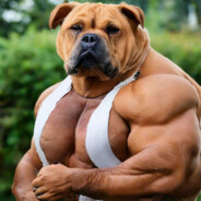BOBIK