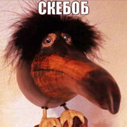 Тайно Дернул