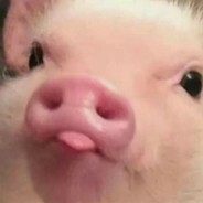НАИВНАЯ ДУРОЧКА