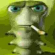 zjarana_stonoga