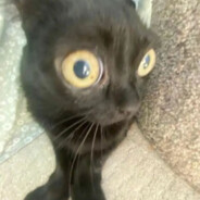 AebEBY