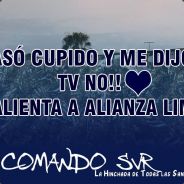 HuICHITO <3 AL. TLPV