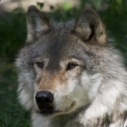 MutantWolfsbane
