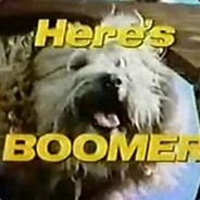 boomer boom
