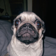 babalusa