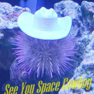 Sea Urchin