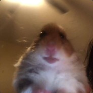 MYSTXRIVL