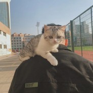 正在偷吃电弧星...