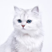 MEOW
