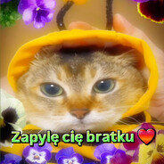 zapylator 3000