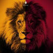 LionPeek