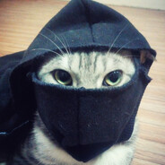 Timo