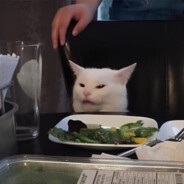BAD CAT