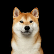 Shiba