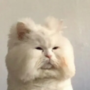 一徐一健