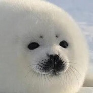 PO1ar