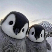 ๋