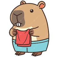 Capivara