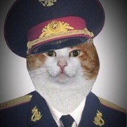 MAYOR CAT