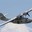 Group Avatar