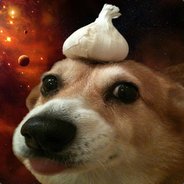 Spacedoge