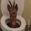 [𝘼𝙣𝙜𝙚𝙡] bajki