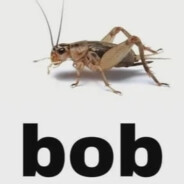 bob