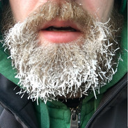 Ericicebeard
