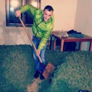 TiniTince