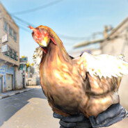 striktoCsGo