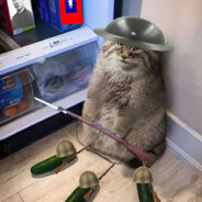 Anti japan garrison