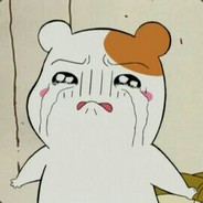 zjcarryyou