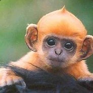 ChunkyLemonMonkey