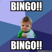 BiNgO