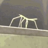 Stick