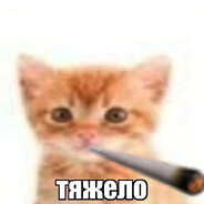 DYSTOP1A)(())())