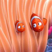 anemone