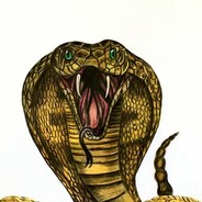 CobraG's Gaming Lair