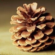 Pine Cone.